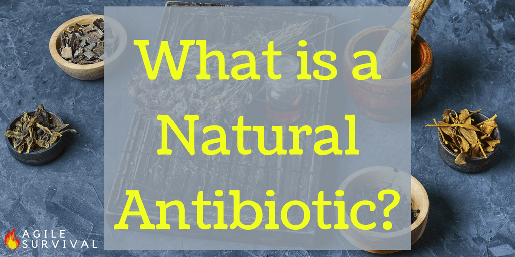 Learn about what can be used as a natural antibiotic.